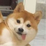 睡得着才怪