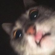 DINGUANZ