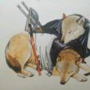 吃了闲有点盐