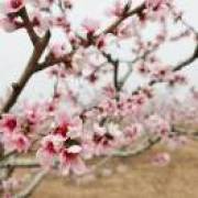阳光正好