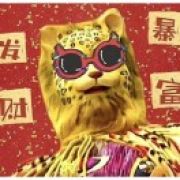 金翅小鹏王