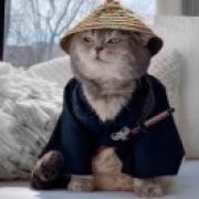 灼灼夏诚