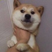 夜态.