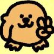 琳导