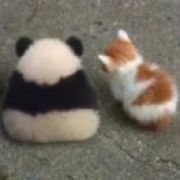 竹马吃了青梅 i