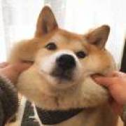 肯定是靓仔啊丶