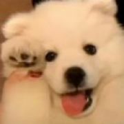 co