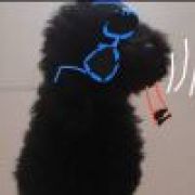 蔬菜沙拉我最爱